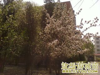 Ƭ-0299.jpg