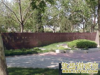 Ƭ-0428.jpg
