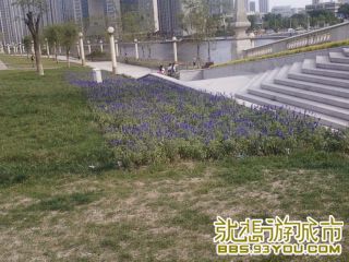 Ƭ-0498.jpg