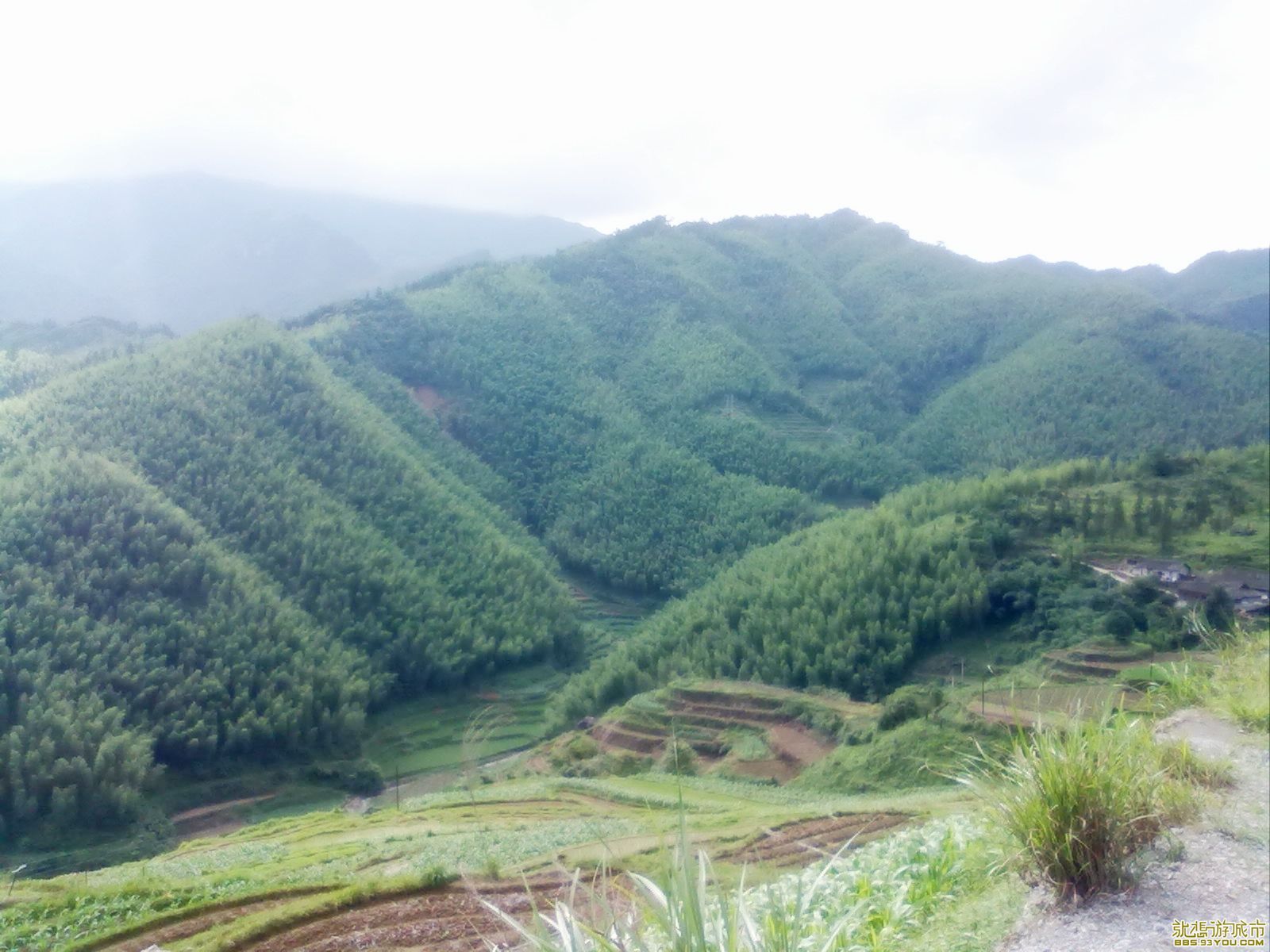 20110612186.jpg