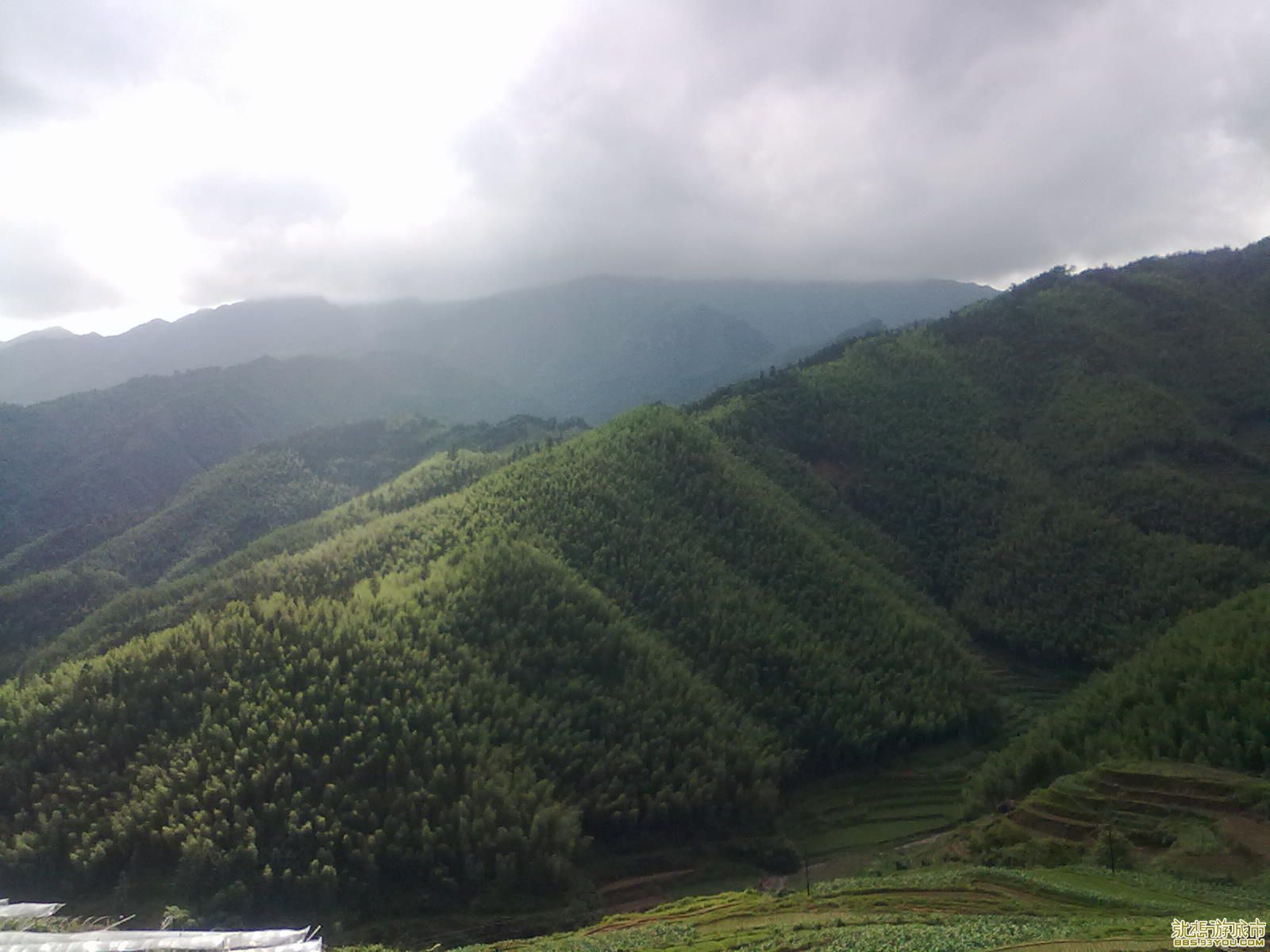 20110612187.jpg