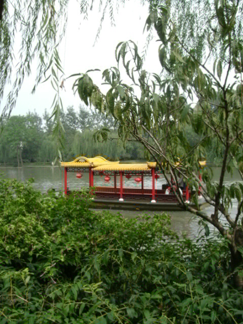 DSCF1973.JPG