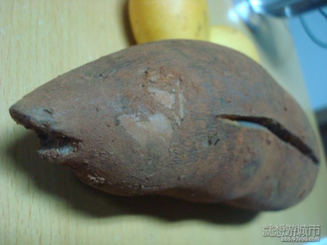 DSC01245.JPG