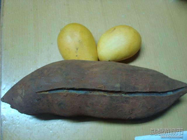 DSC01242.JPG