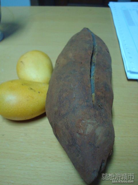 DSC01243.JPG