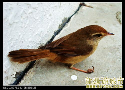 DSC01260.JPG