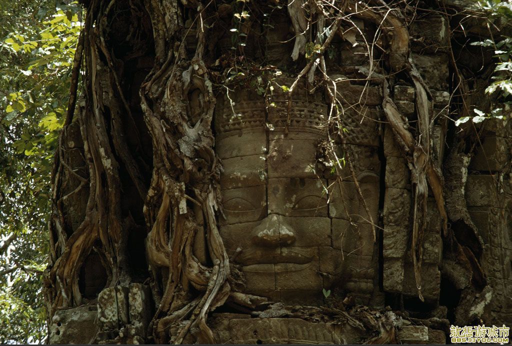 tree-shrouded-sculpture-145365-lw.jpg