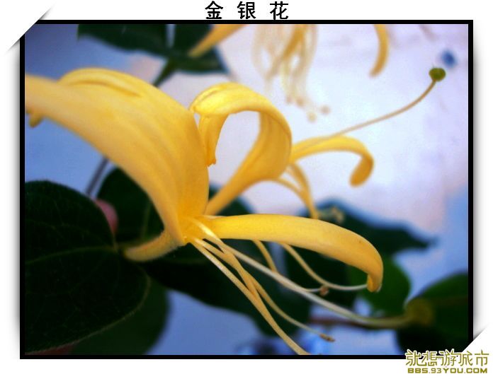 DSC01298.JPG