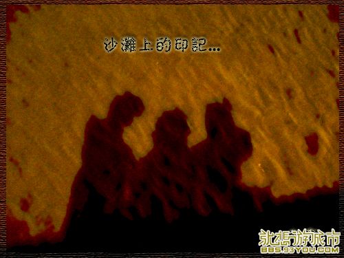 08052909+7.jpg