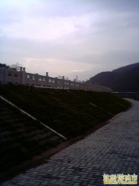 IMG0141A.jpg