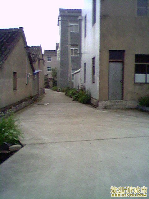 IMG0159A.jpg