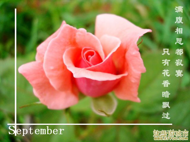 DSC01500.jpg