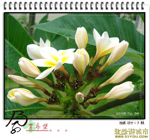 200806042.jpg