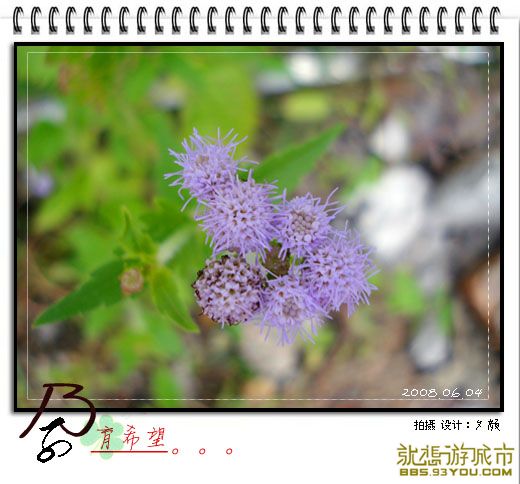 200806045.jpg