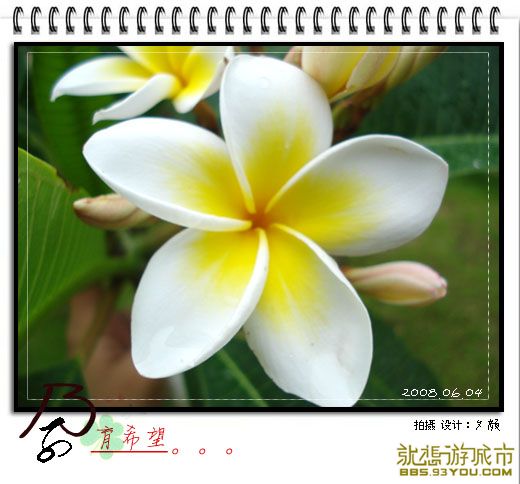 200806043.jpg