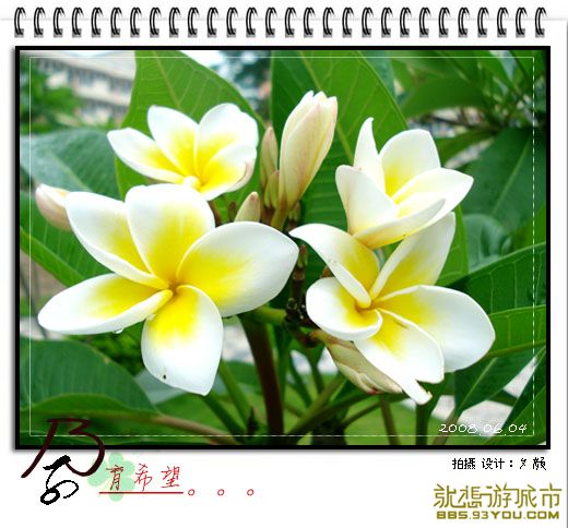 200806044.jpg