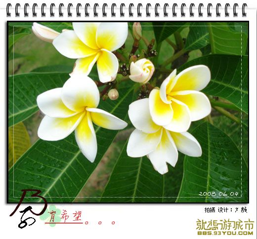 200806041.jpg