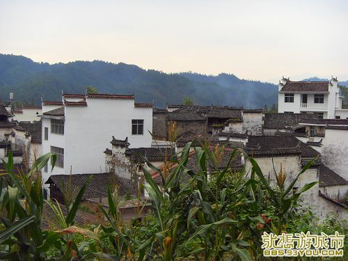 SDC10303.JPG