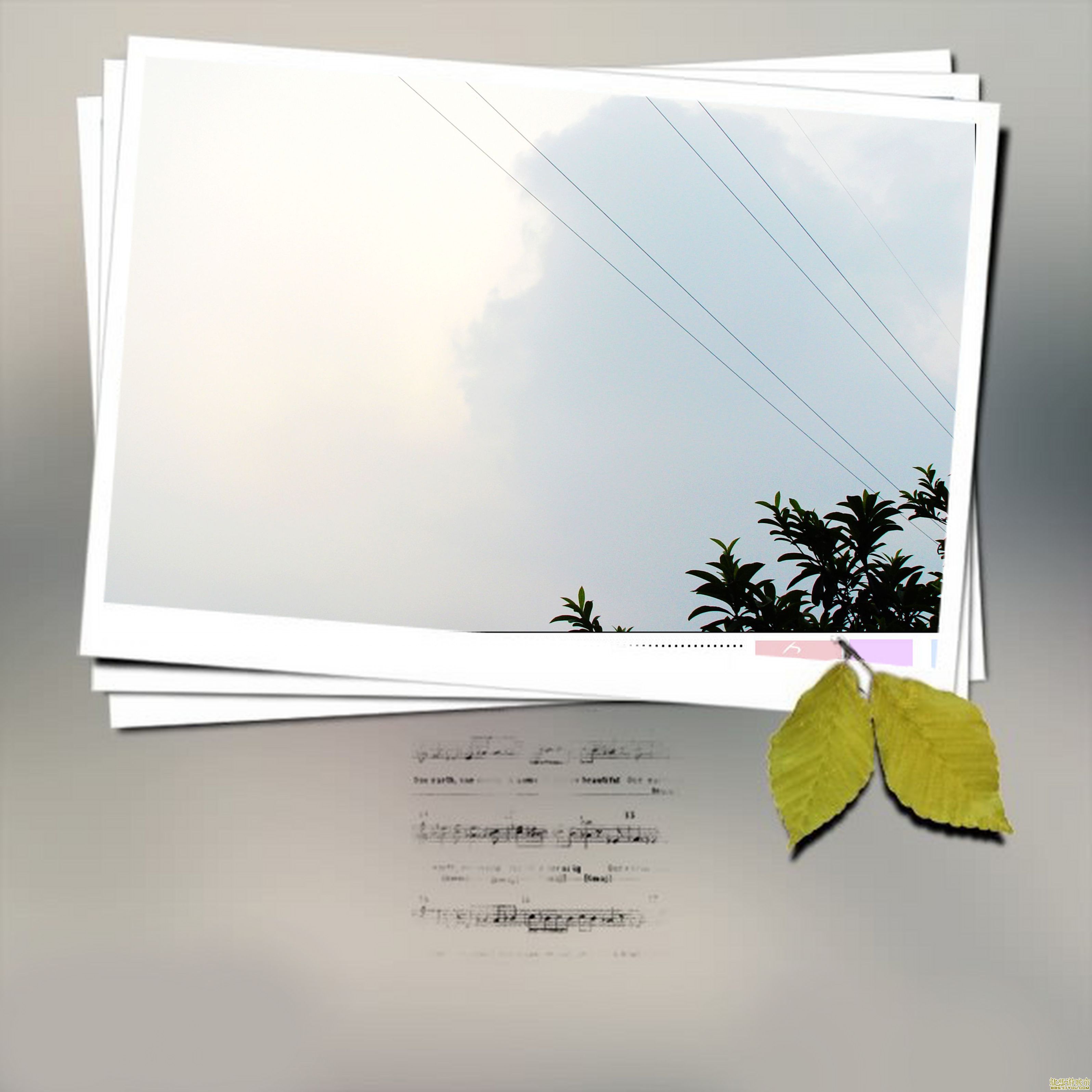 DSC007254.jpg