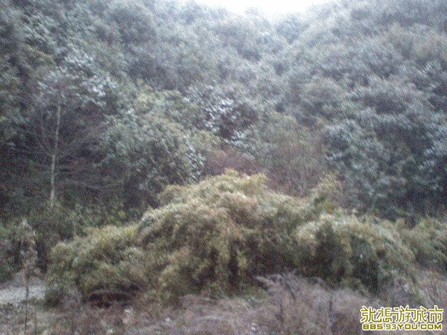 DSC00288.JPG