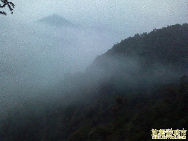 DSC00286.JPG
