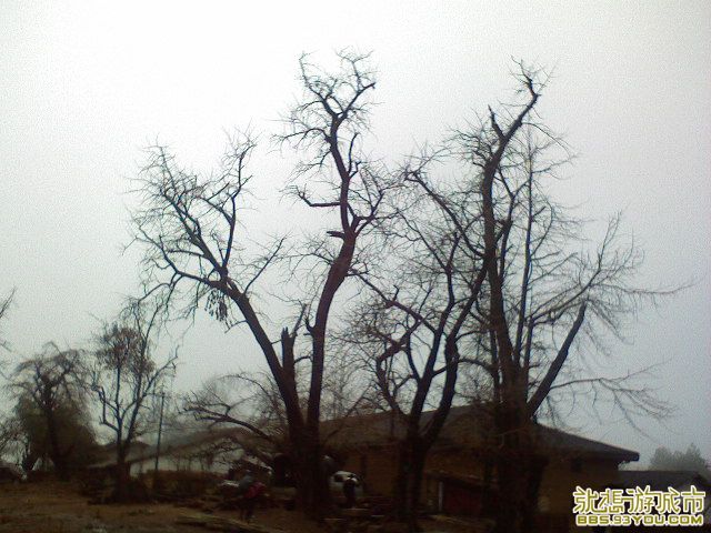 DSC00332.JPG