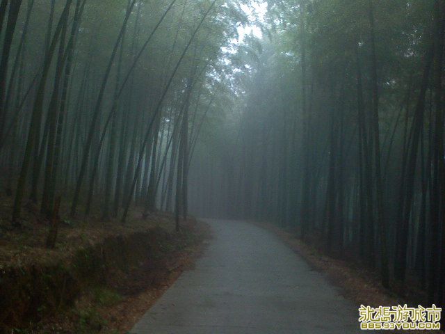 DSC00312.JPG