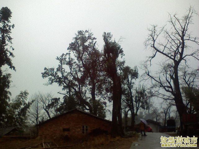 DSC00335.JPG