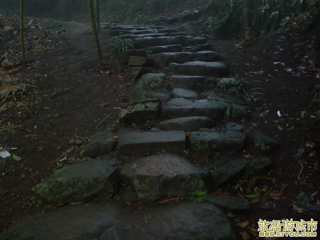 DSC00342.JPG