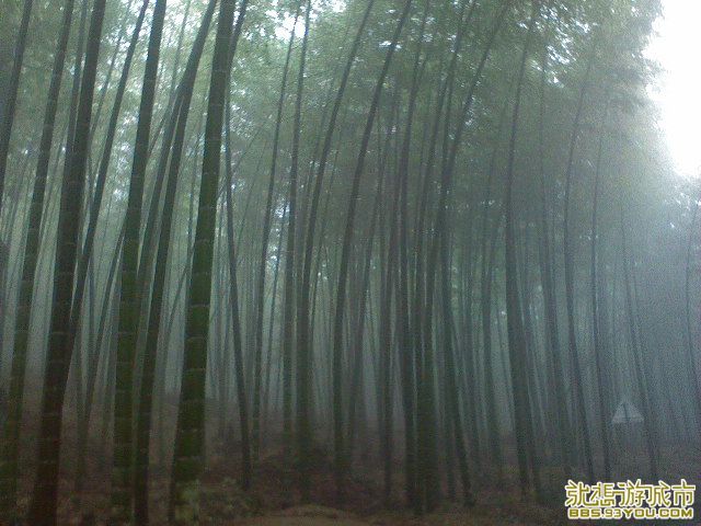 DSC00310.JPG