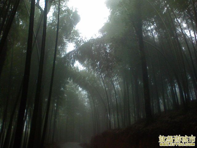 DSC00307.JPG