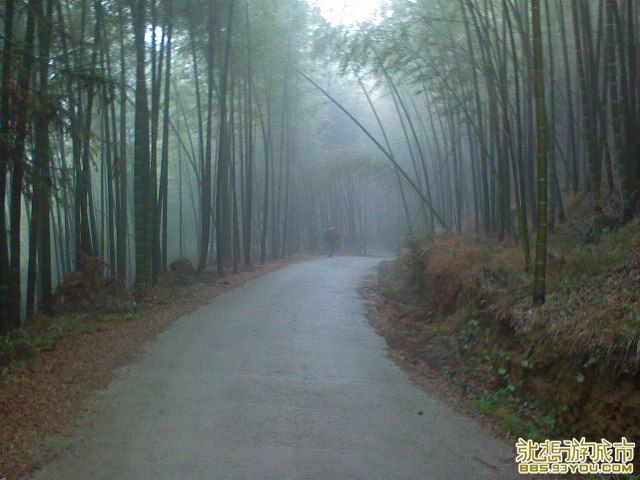 DSC00317.JPG