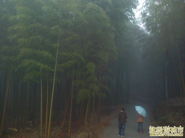 DSC00304.JPG