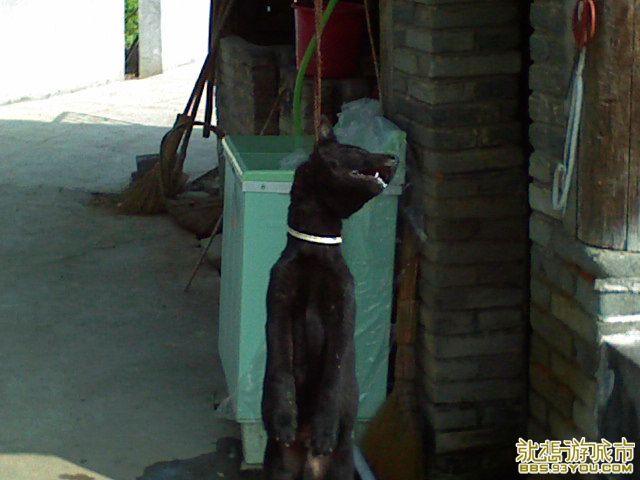 DSC00023.JPG