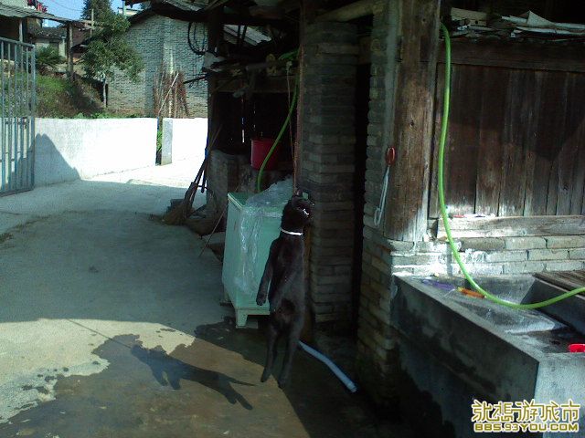 DSC00022.JPG