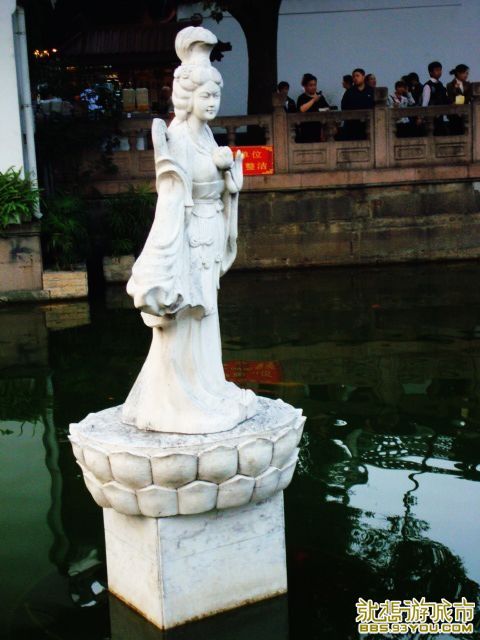 DSC01638.jpg