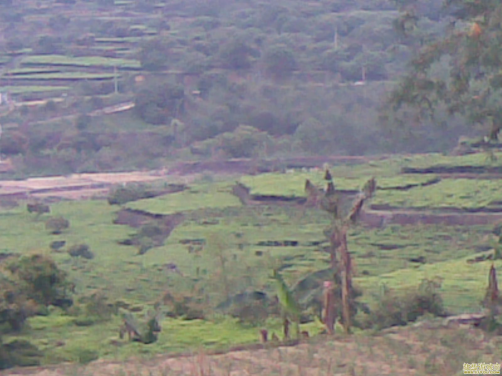 20090412(007).jpg