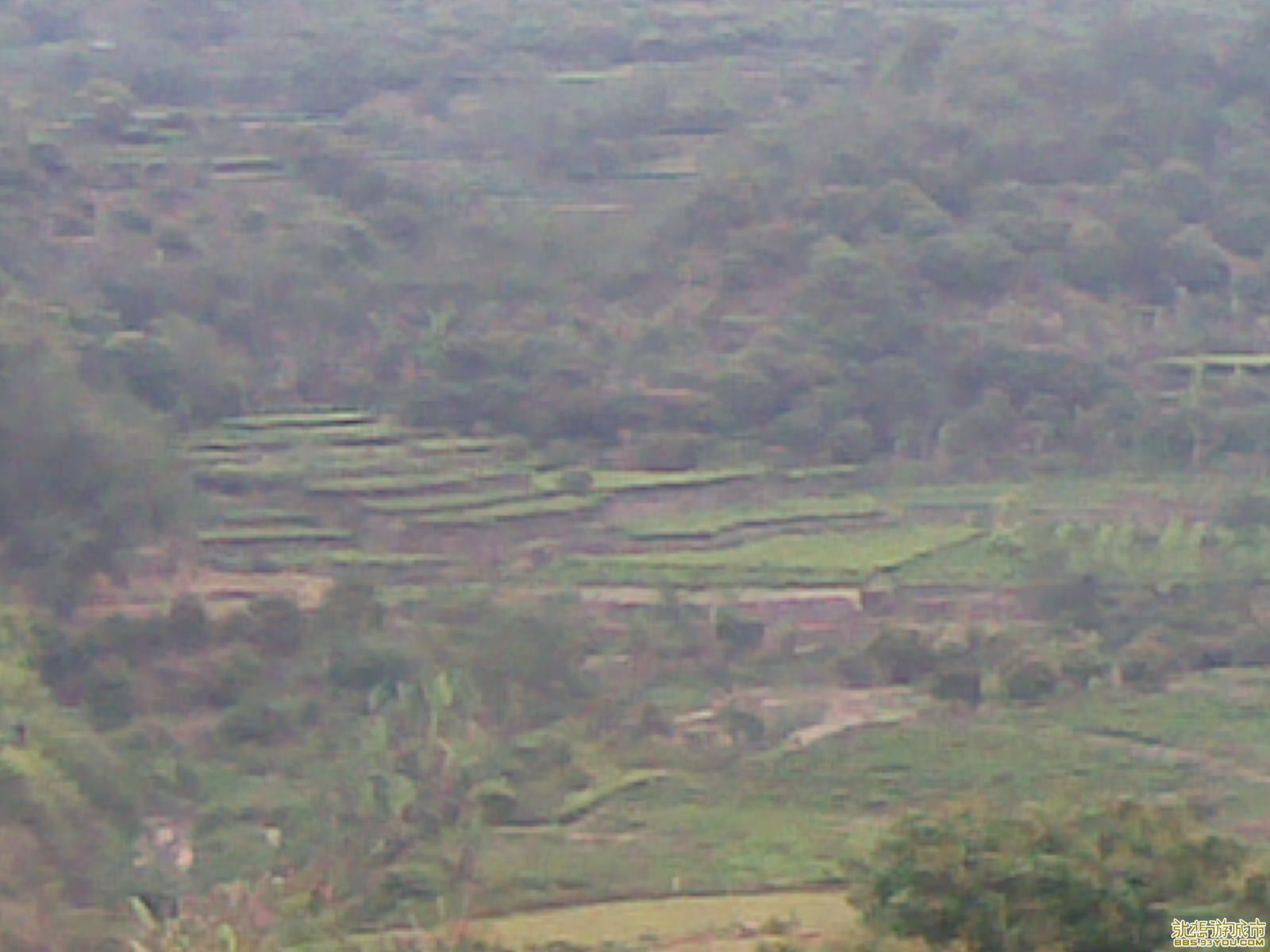 20090412(006).jpg