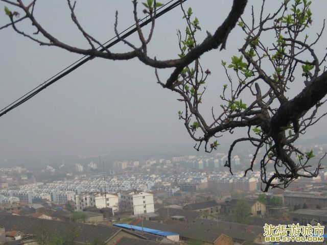 IMG_1155.JPG