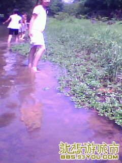 IMG0082A.jpg