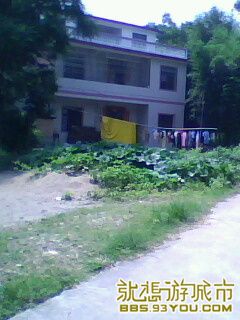 IMG0077A.jpg