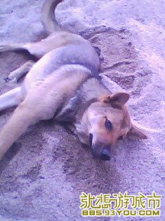 IMG0069A.jpg