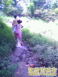 IMG0078A.jpg