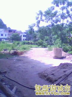 IMG0063A.jpg