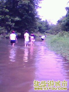 IMG0084A.jpg