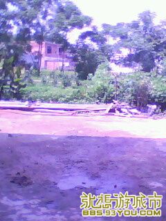 IMG0052A.jpg