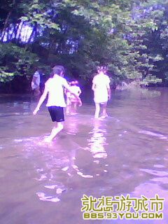IMG0081A.jpg