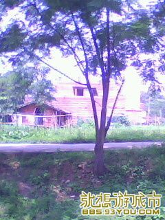 IMG0073A.jpg