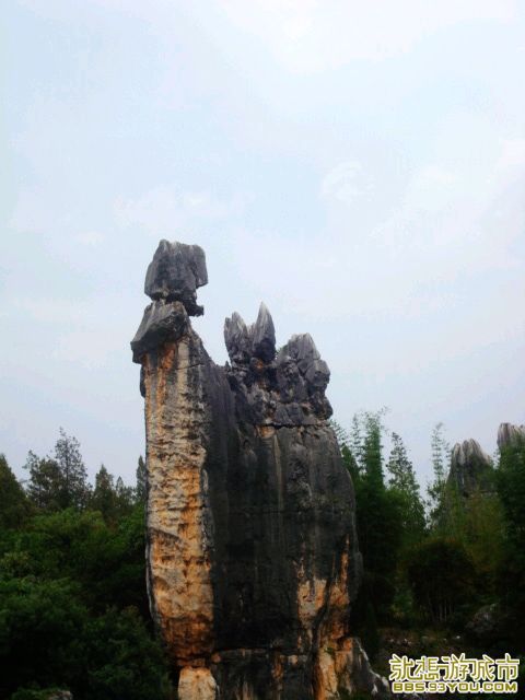 13.JPG
