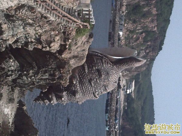 p_large_Ftwe_02fb000154ed2d0f.jpg